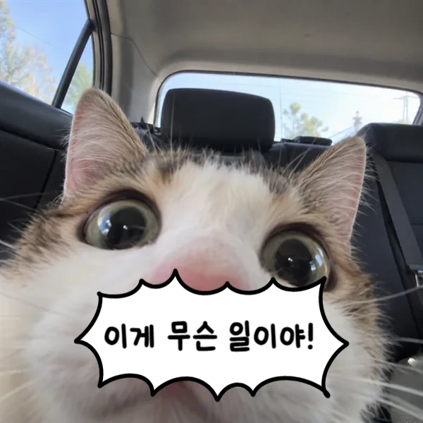 이게 무슨 일이야!