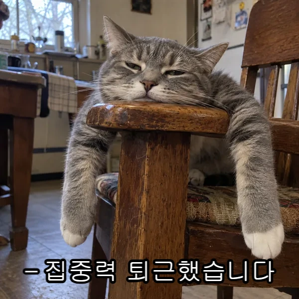 집중력 퇴근했습니다