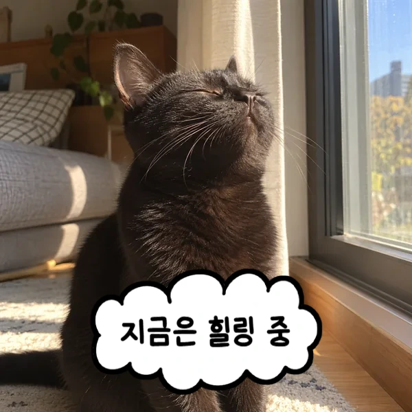 지금은 힐링 중