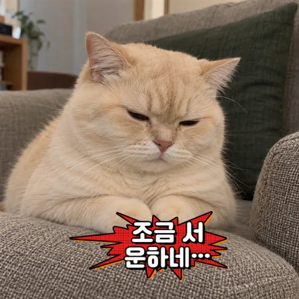조금 서운하네…