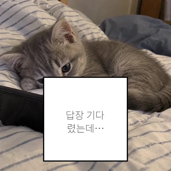 답장 기다렸는데…