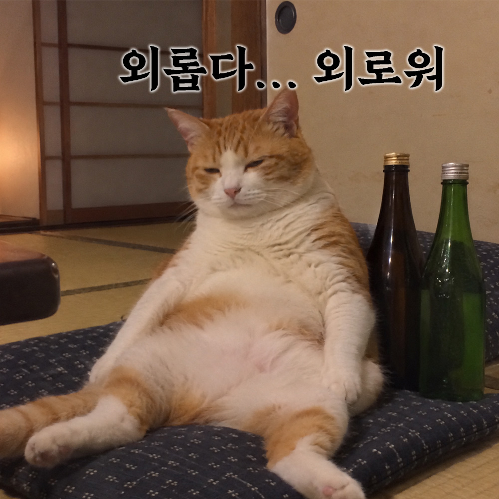 외롭다.. 외로워
