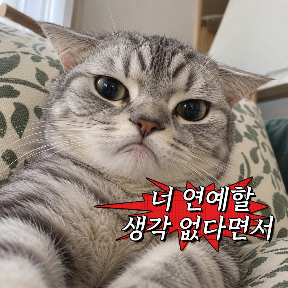 넌 연애할 생각 없다면서