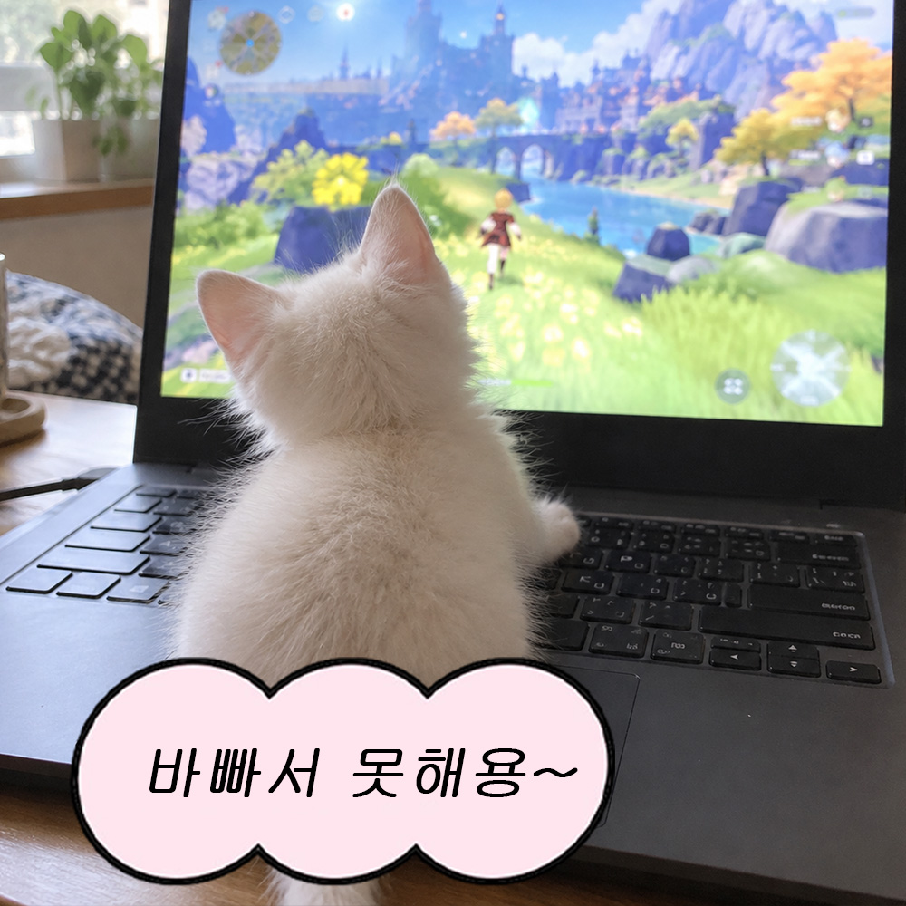 바빠서 못해용~