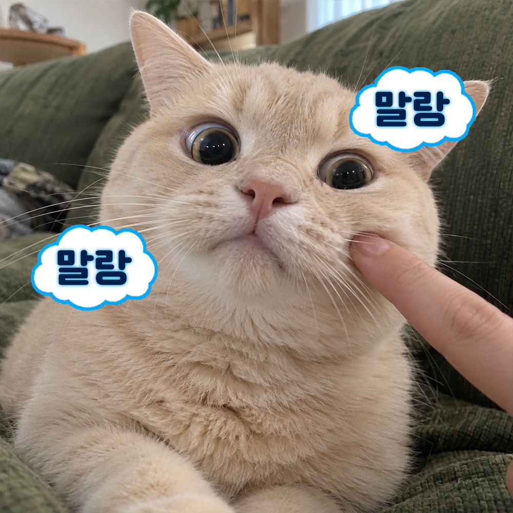 말랑