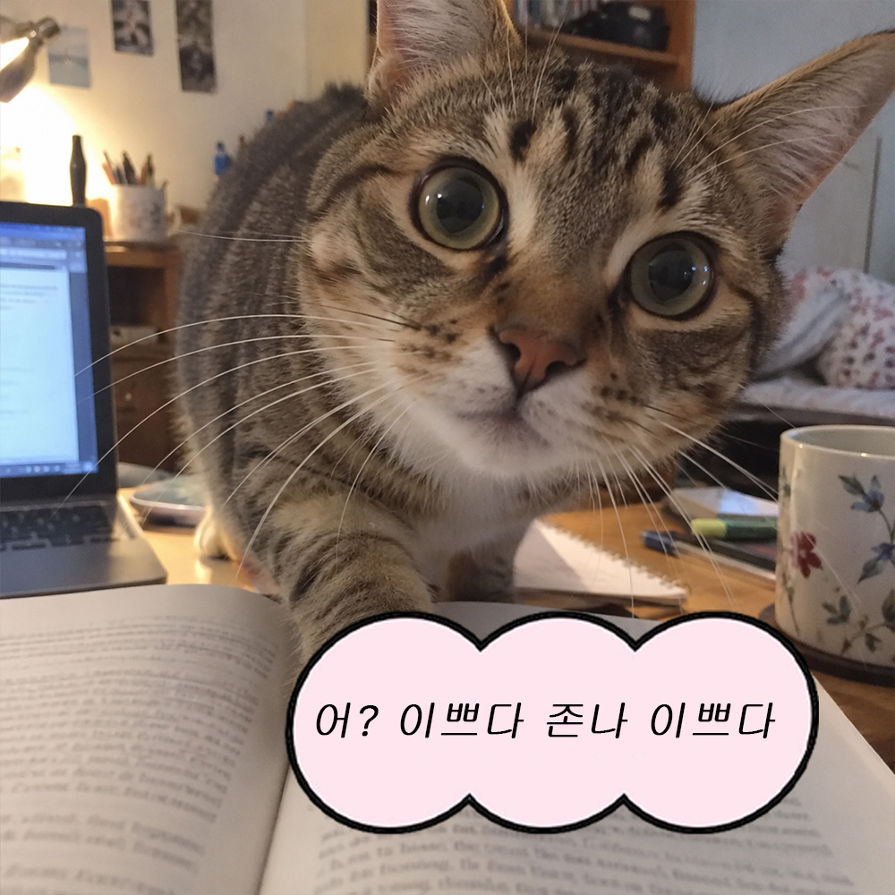 아? 이쁘다 존나 이쁘다