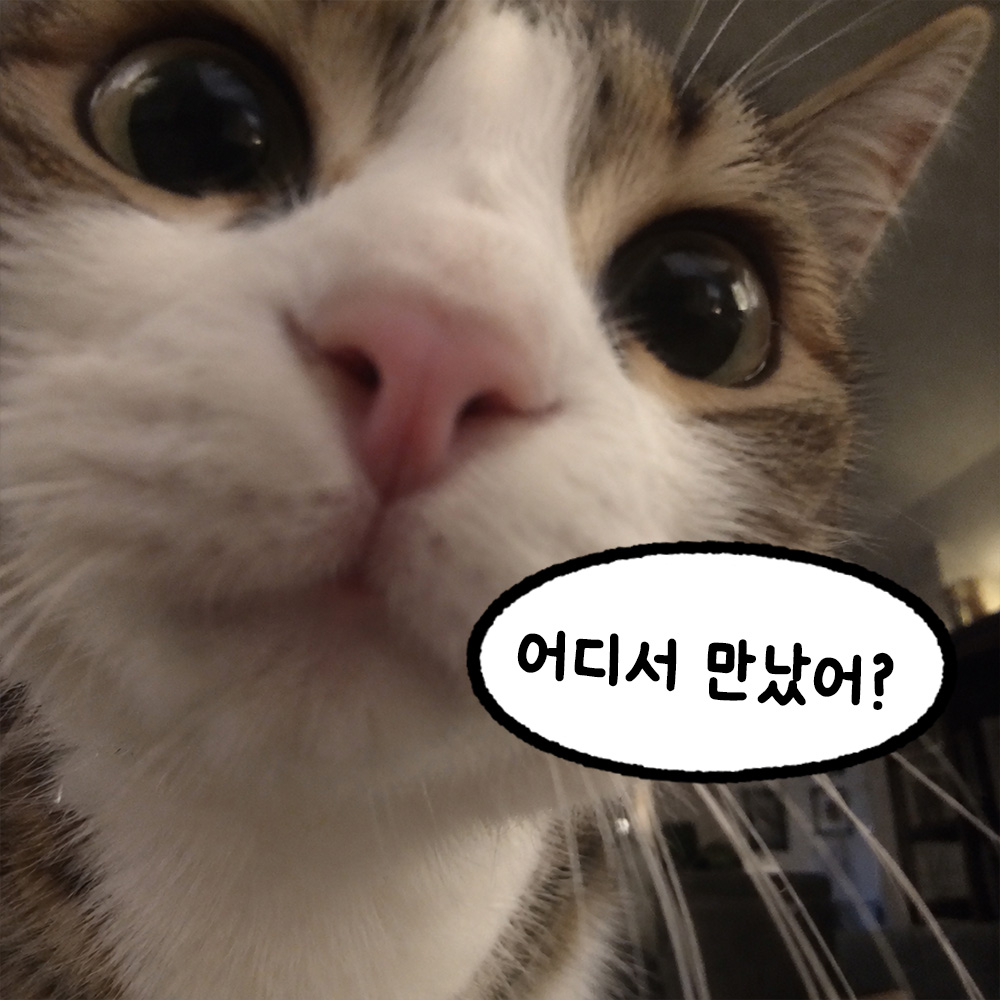어디서 만났어?