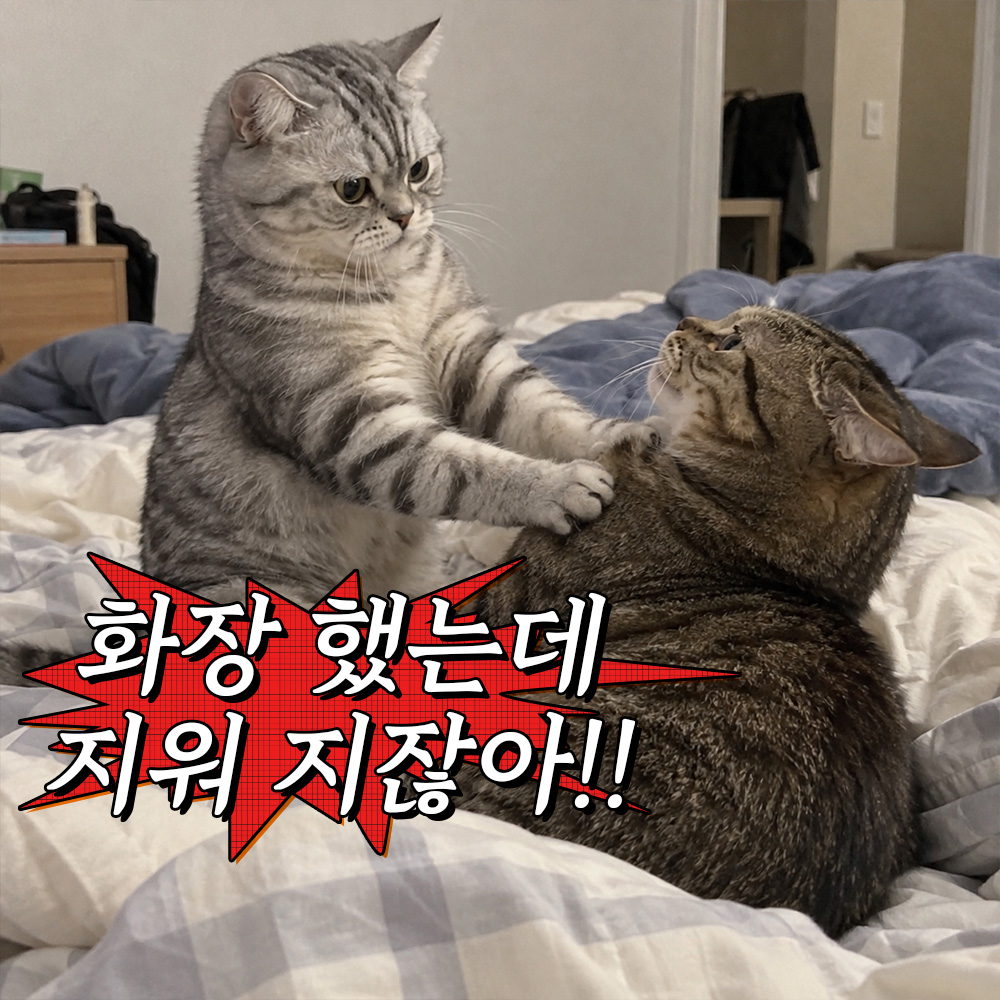 화장 했는데 치워 짜증아!!