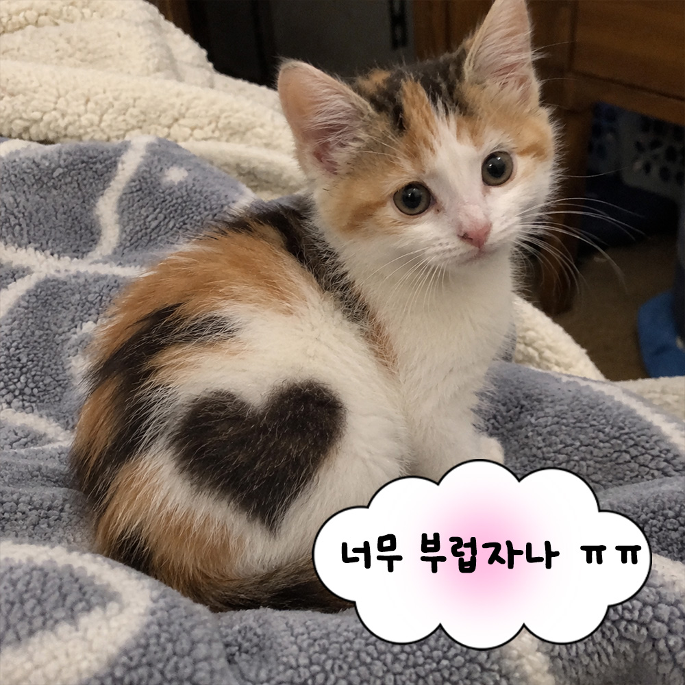너무 부럽잖아 ㅠㅠ