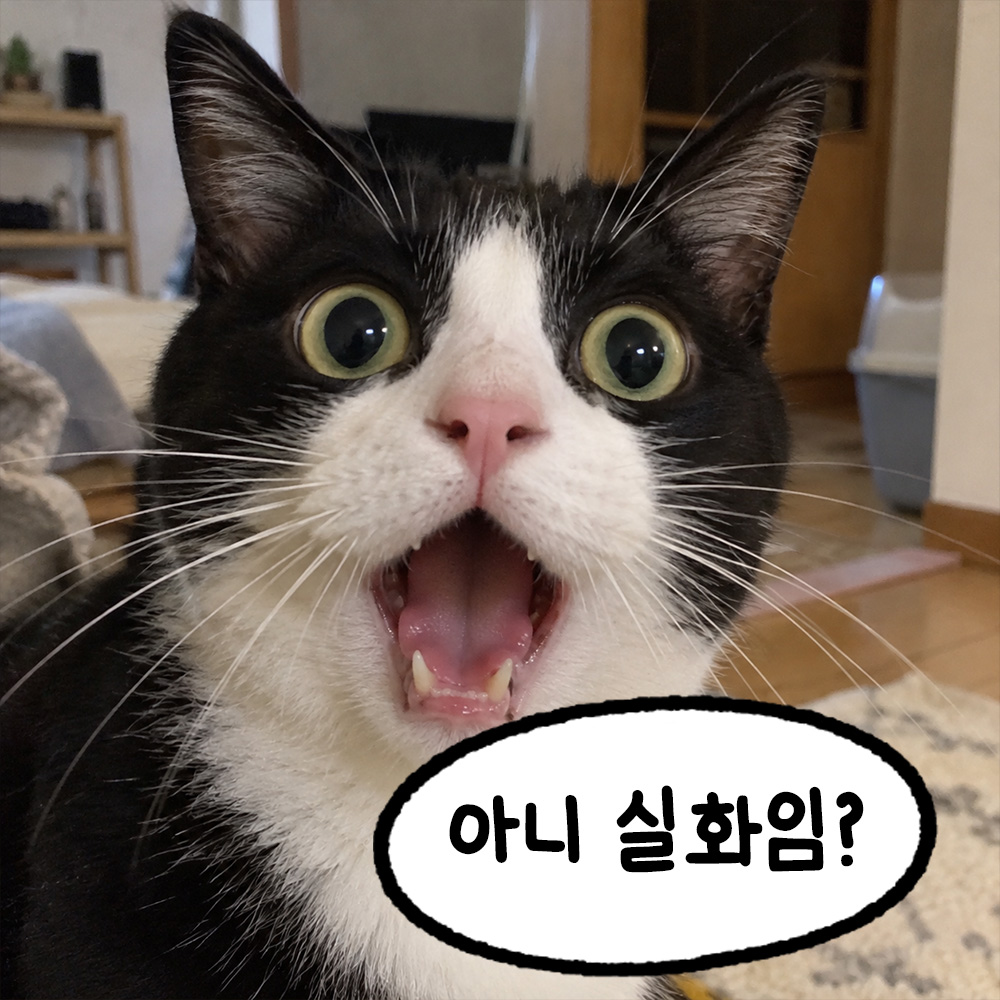 아니 실화임?