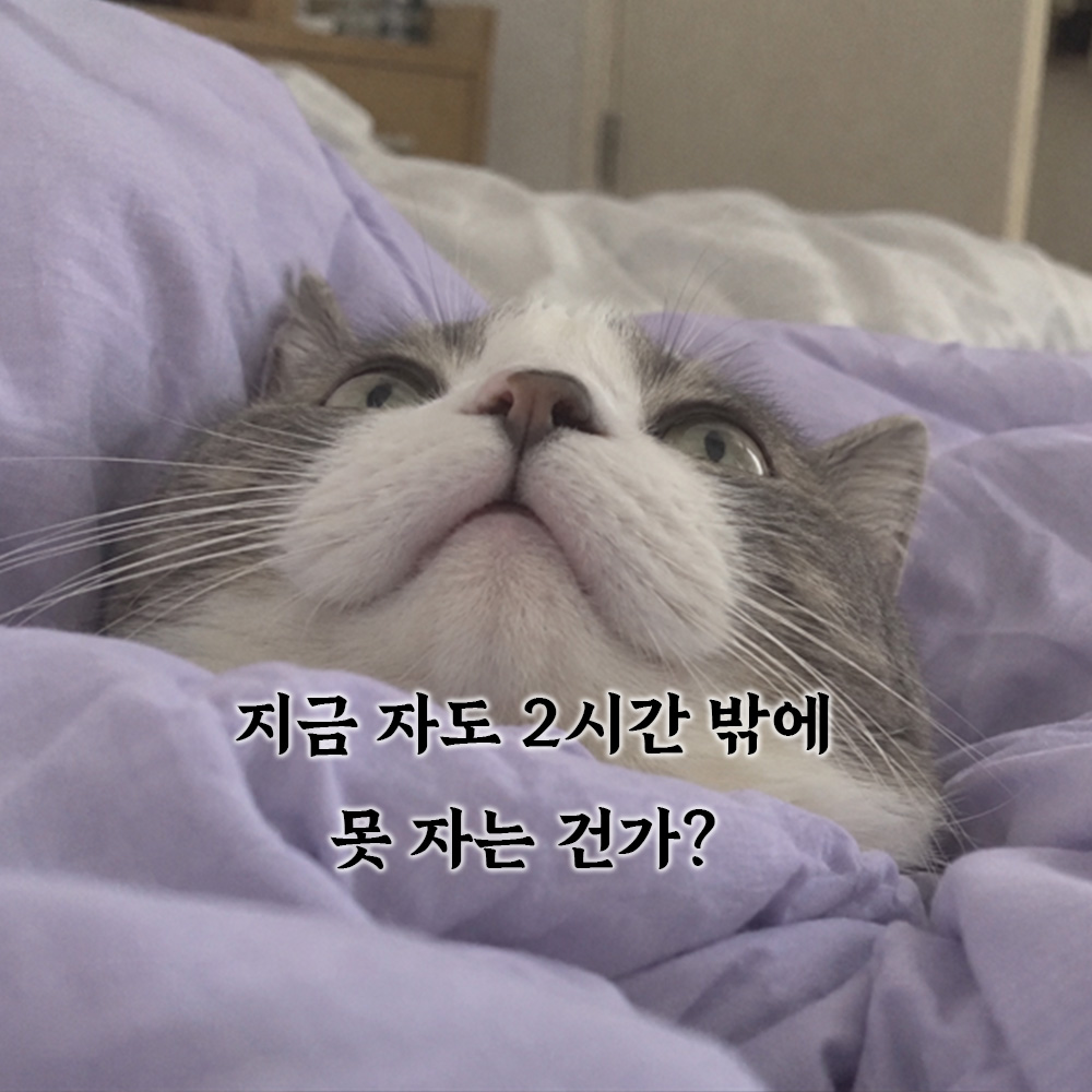 지금 자도 2시간 밖에 못 자는 건가?