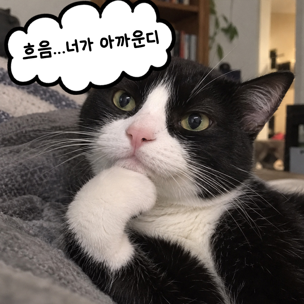 흐음.. 너가 아깝군만
