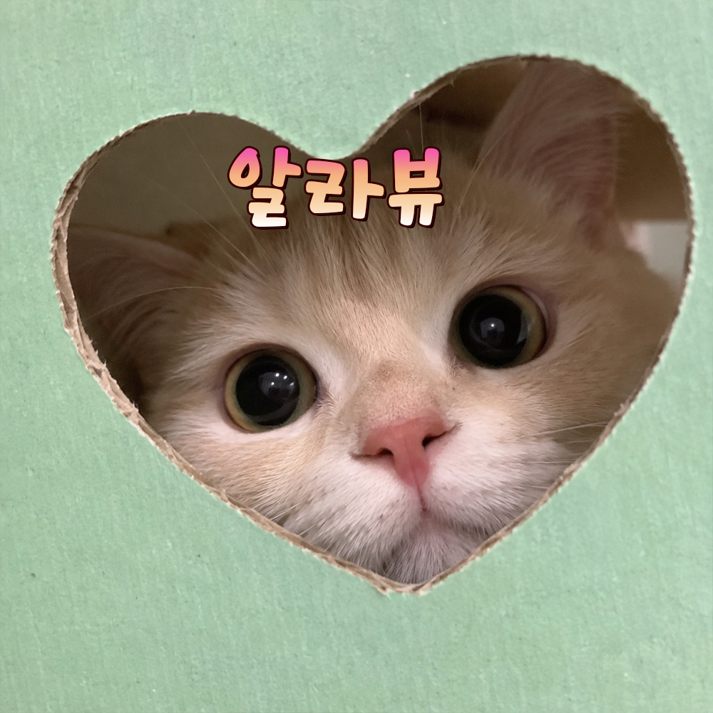 알라뷰
