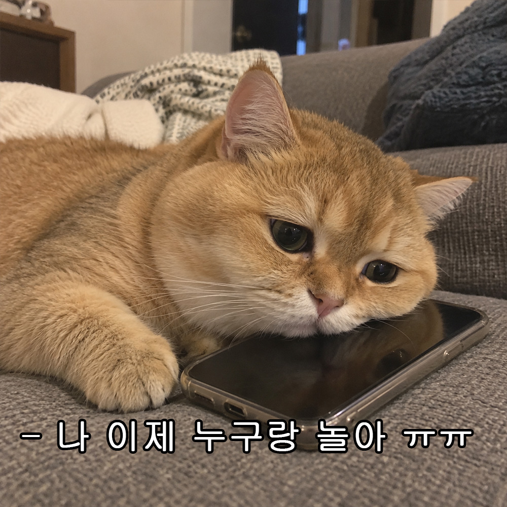 나 이제 누구랑 놀아 ㅠㅠ