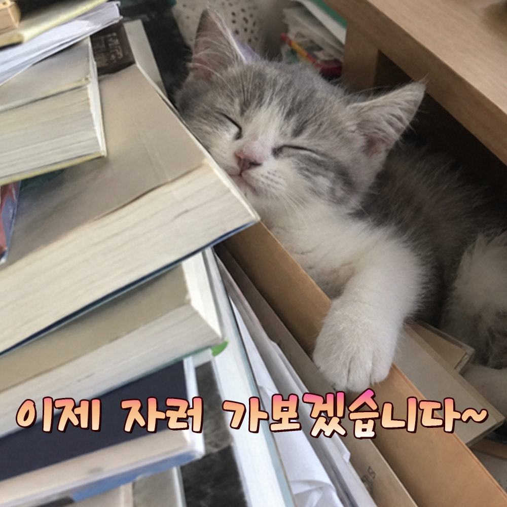 이제 자리 가보겠습니다~