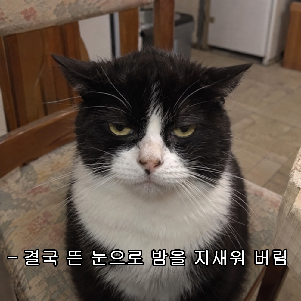 결국 뜬 눈으로 밤을 지새워 버림