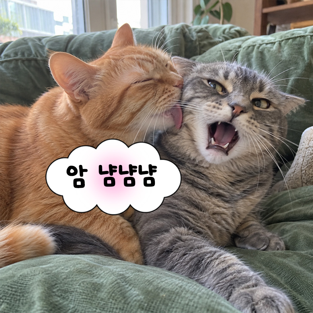 앙 냥냥냥