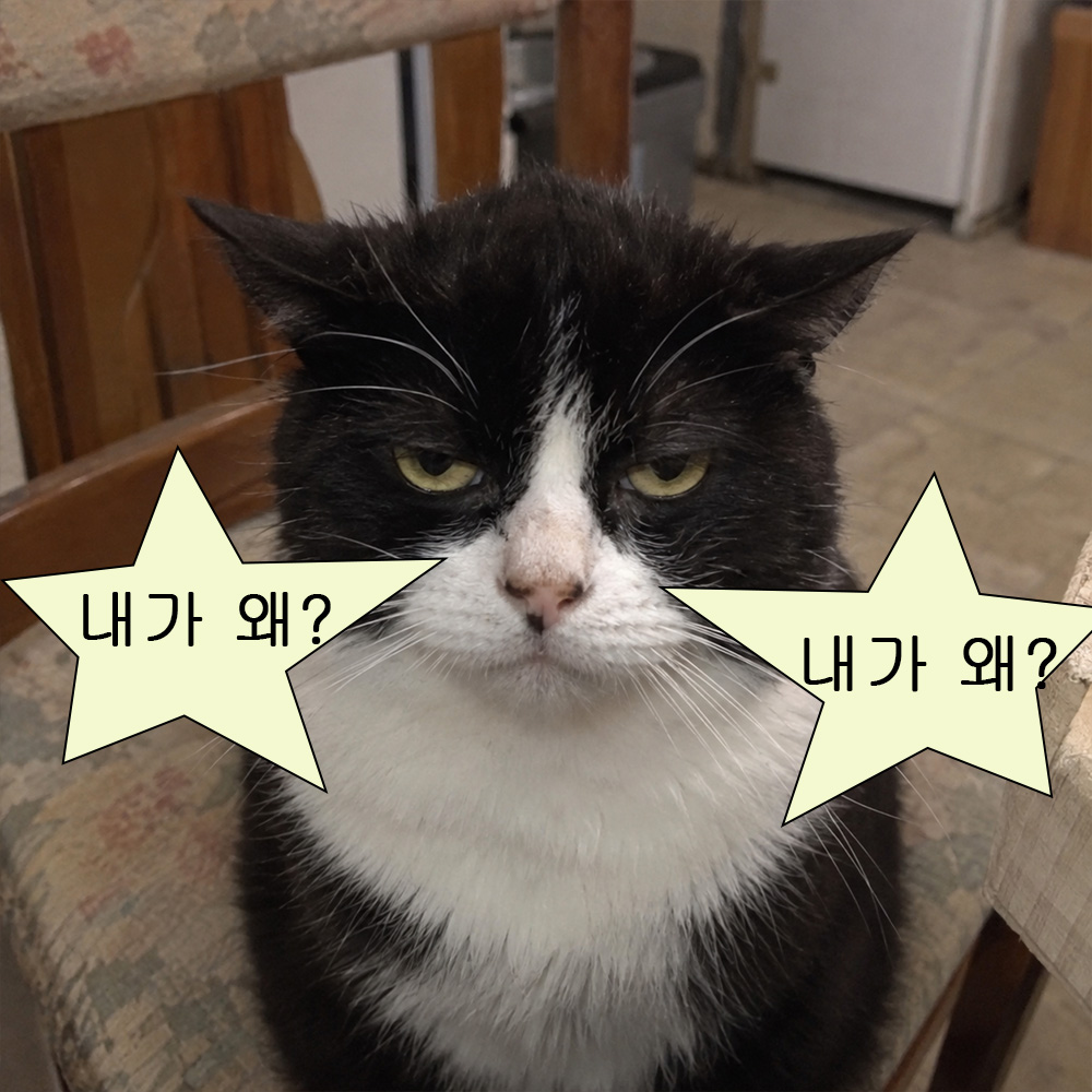 내가 왜?