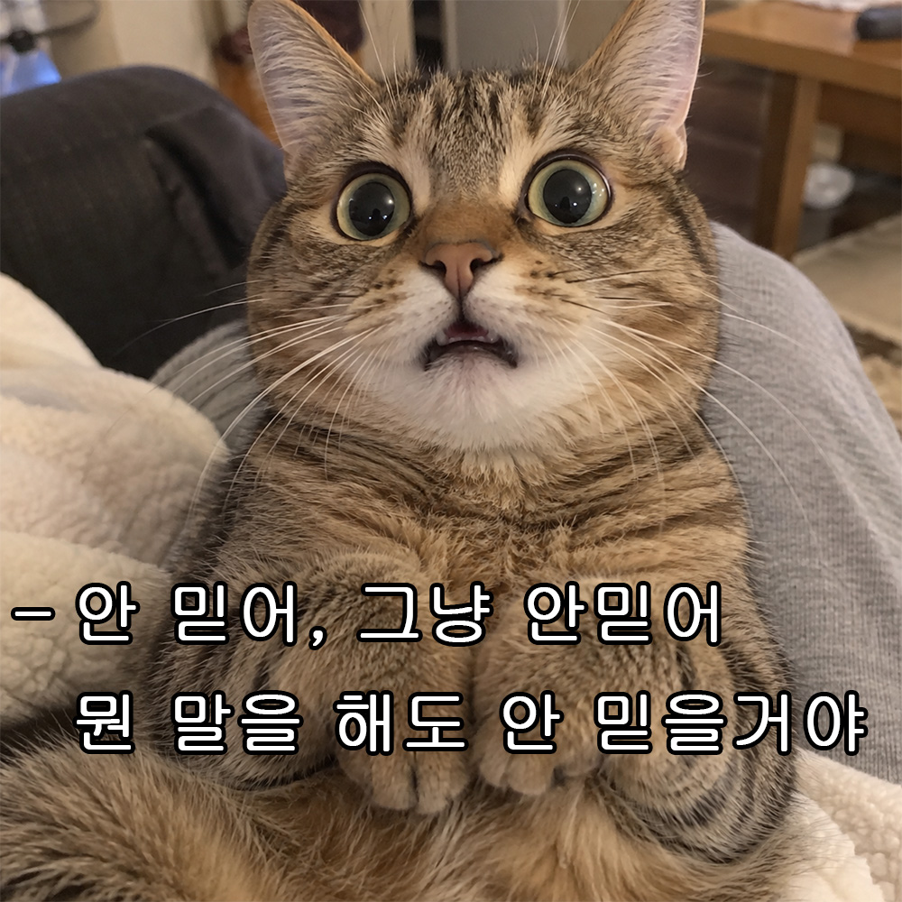 안 믿어, 그냥 안믿어 뭔 말을 해도 안 믿을거야