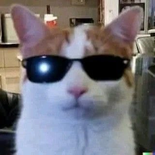 고양이 원본 578