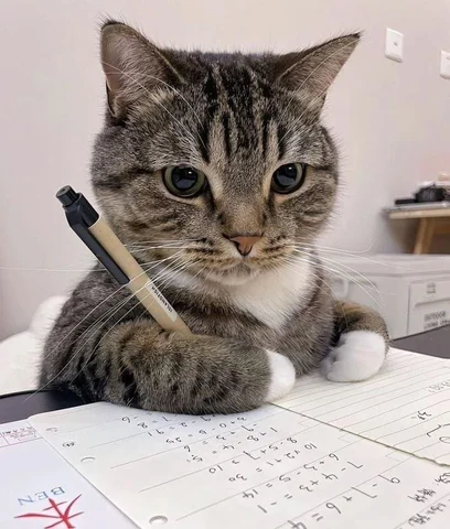 고양이 원본 277
