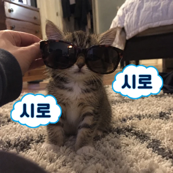 시로