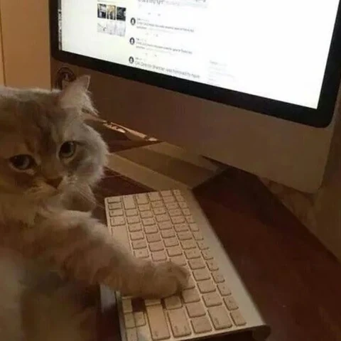 고양이 원본 289