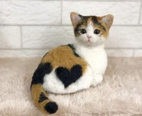 고양이 원본 439