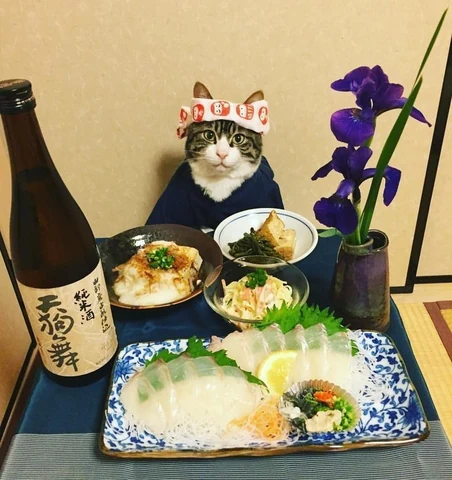 고양이 원본 091