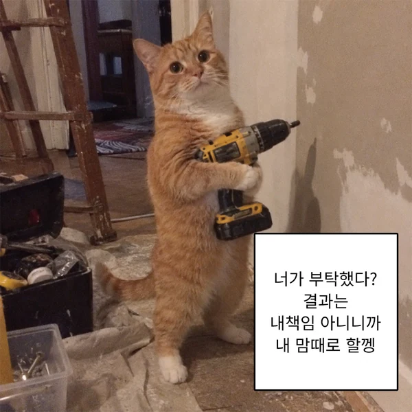 너가 부탁했다? 결과는 내책임 아니니까 내 맘대로 할껭