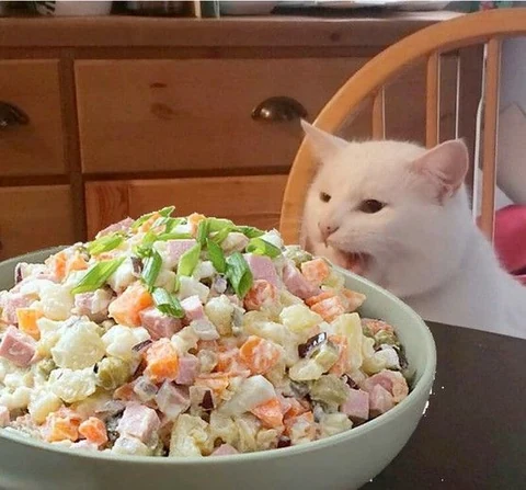 고양이 원본 174