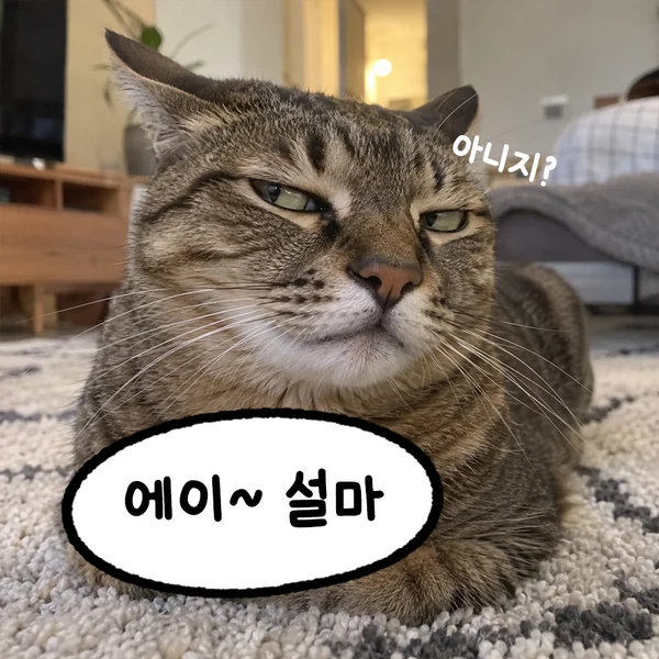 에이~ 설마