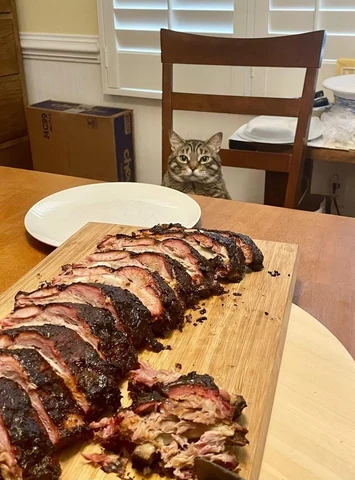 고양이 원본 040