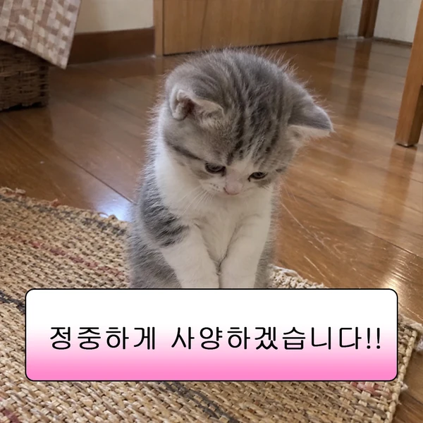 정중하게 사양하겠습니다!!