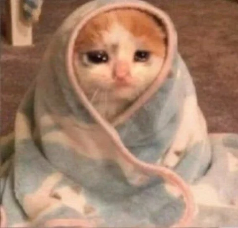 고양이 원본 226