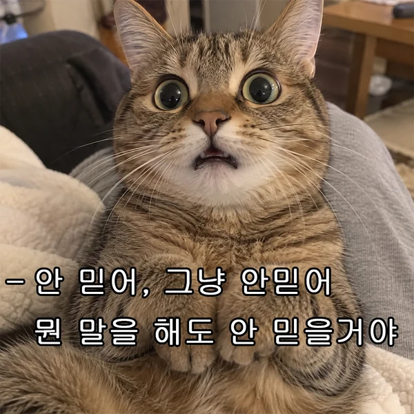 안 믿어, 그냥 안믿어 뭔 말을 해도 안 믿을거야